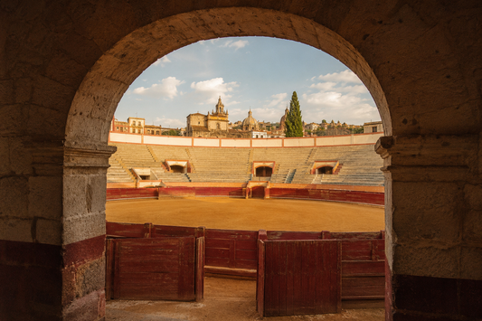 Vista arquitectónica ilustrativa de una plaza de toros mexicana